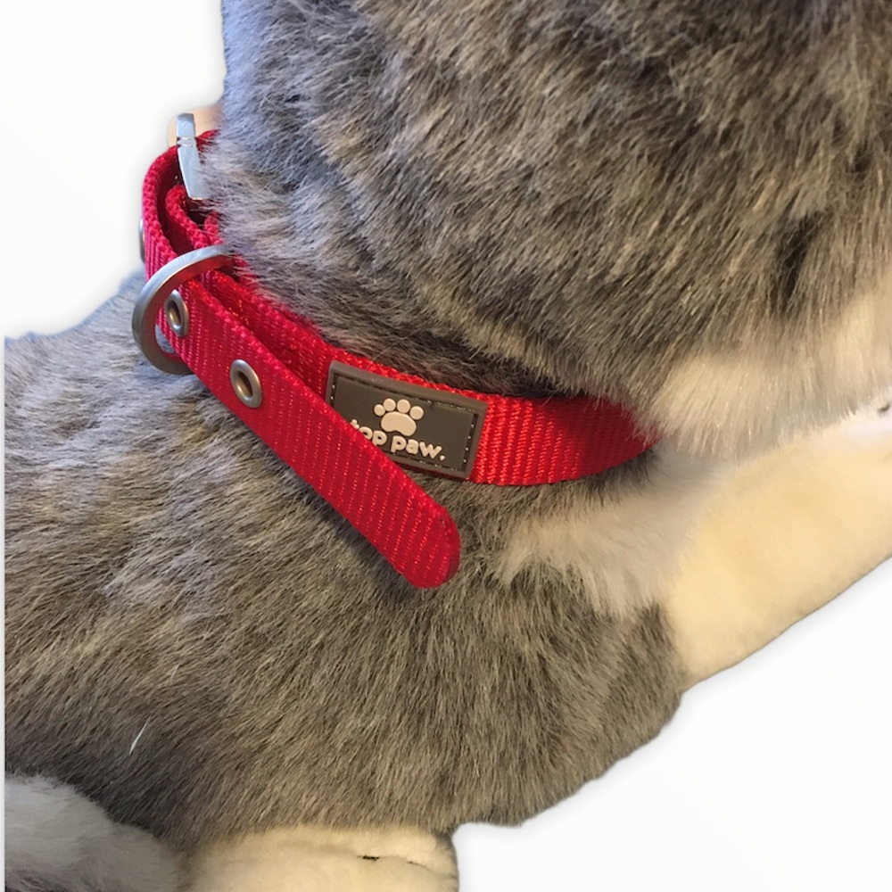 Top Paw Buckle Dog Collar Red Medium
